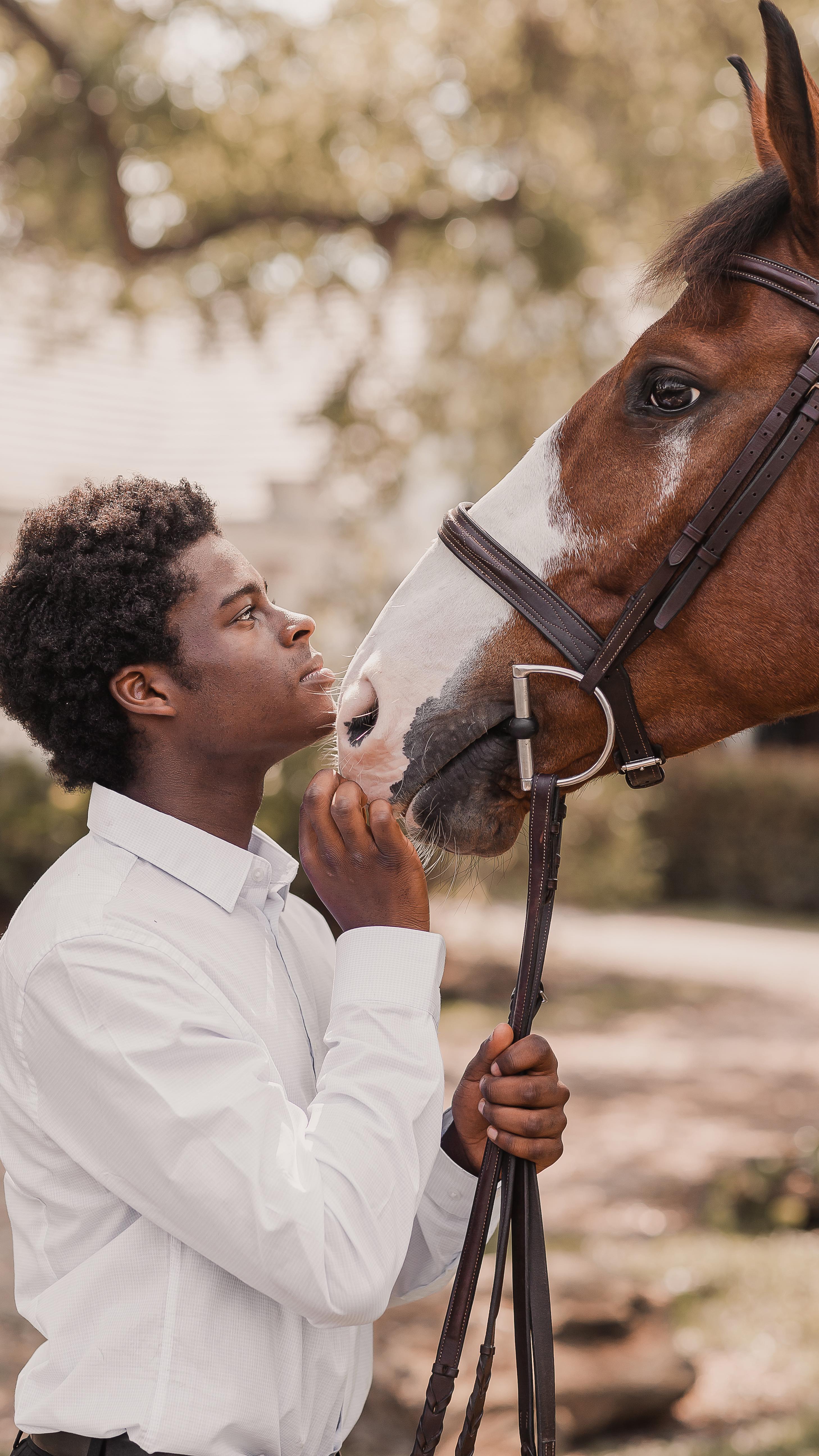Equestrian photography by IRINA TRAVNIKOVA