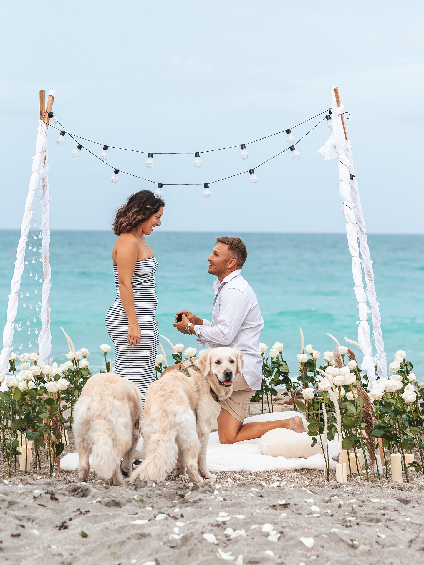 Proposals & engagement photography by IRINA TRAVNIKOVA